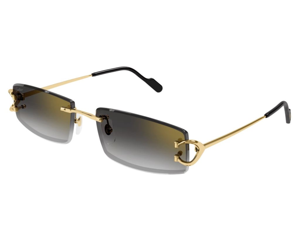 Cartier CT0465S