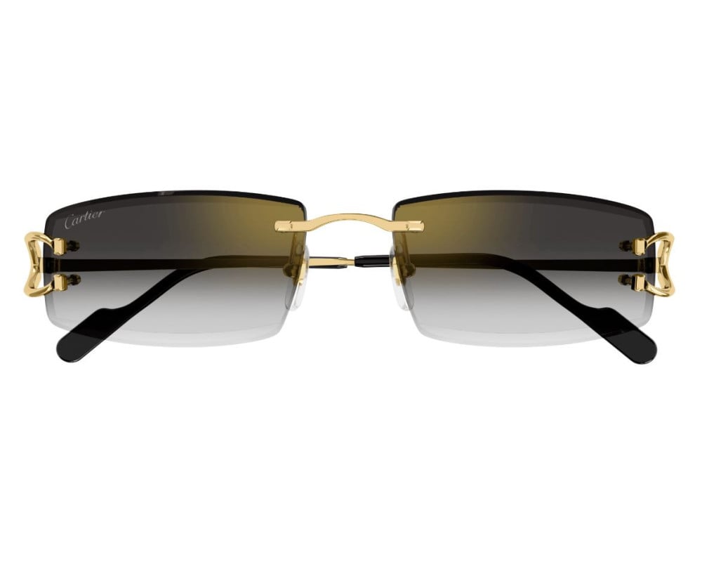 Cartier CT0465S