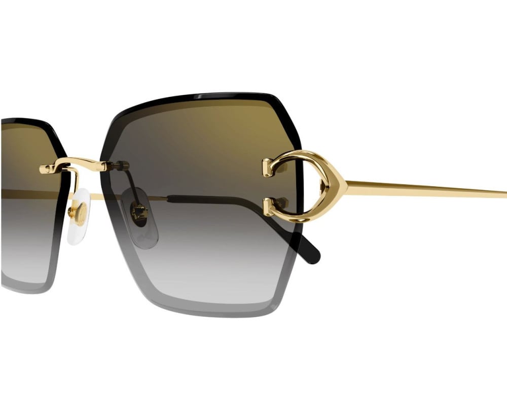 Cartier CT0466S