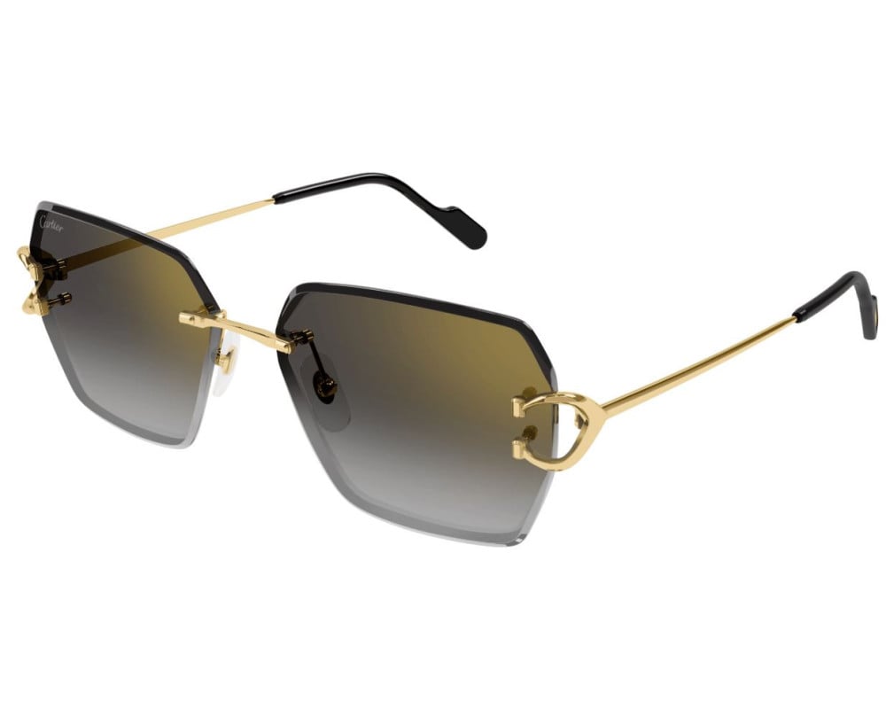 Cartier CT0466S