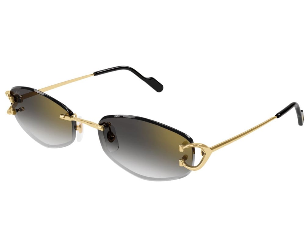 Cartier CT0467S
