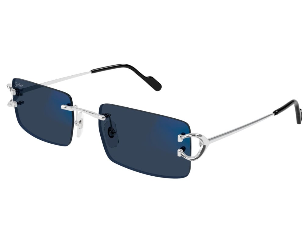 Cartier CT0488S