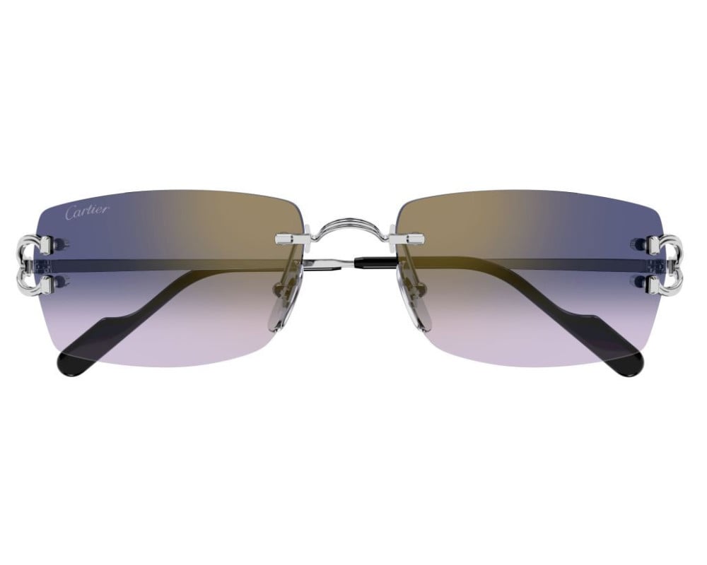 Cartier CT0550S Argent (003)
