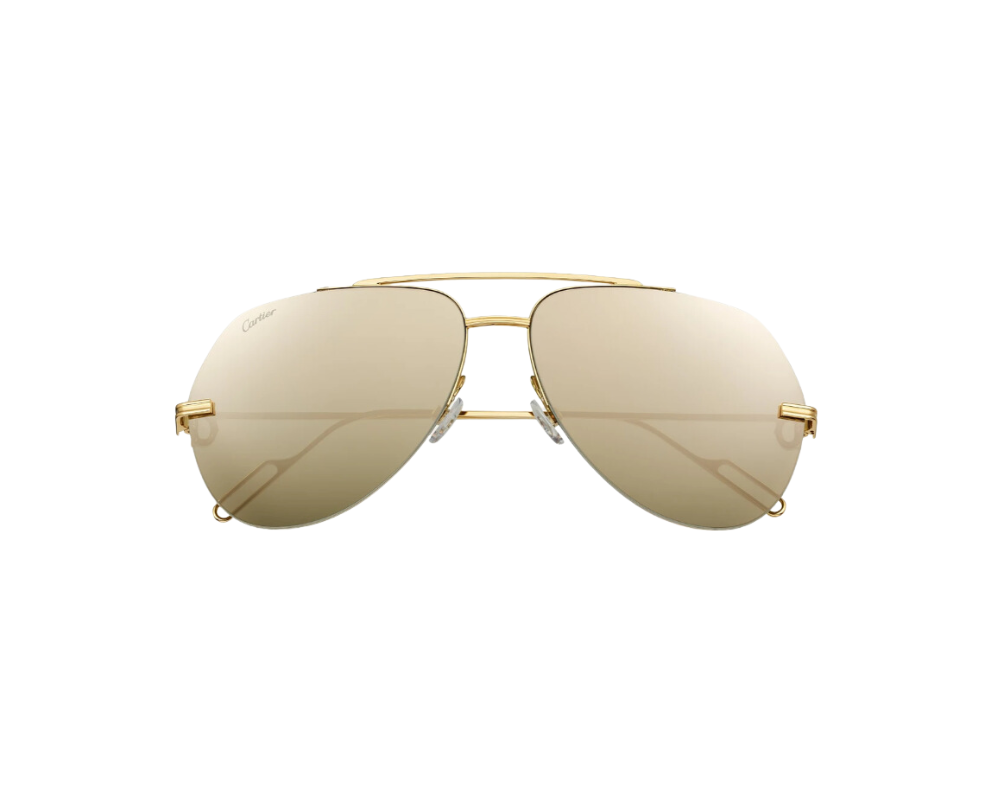 Cartier CT0170S