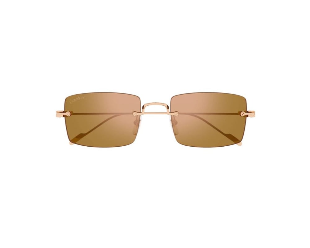 Cartier CT0367S