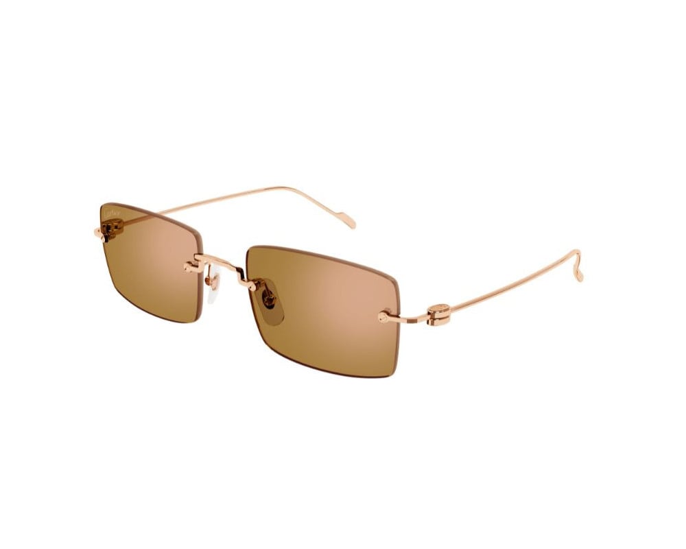 Cartier CT0367S