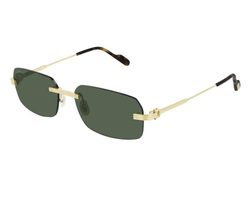 Cartier CT0271S