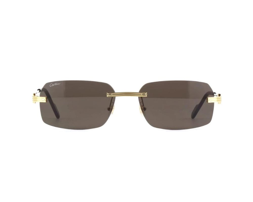 Cartier CT0271S