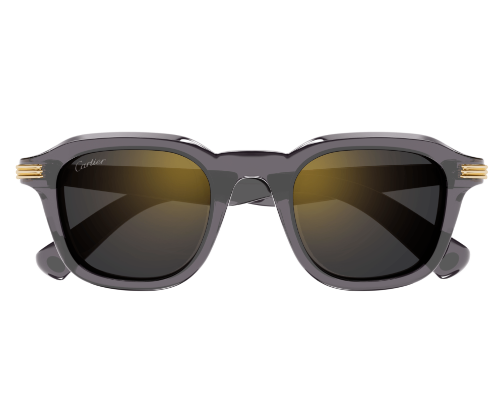 Cartier CT0536S Gris