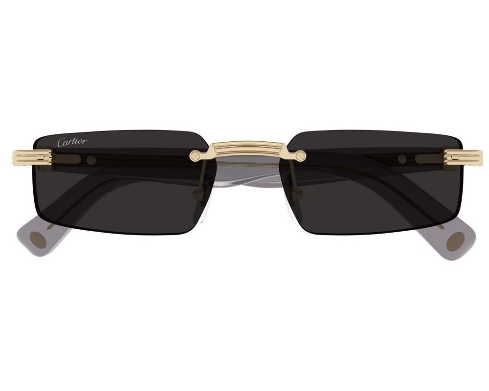 Cartier CT0537S