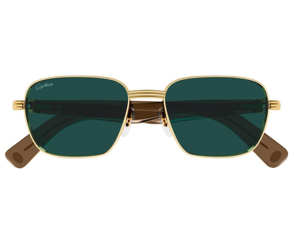 Cartier CT0538S