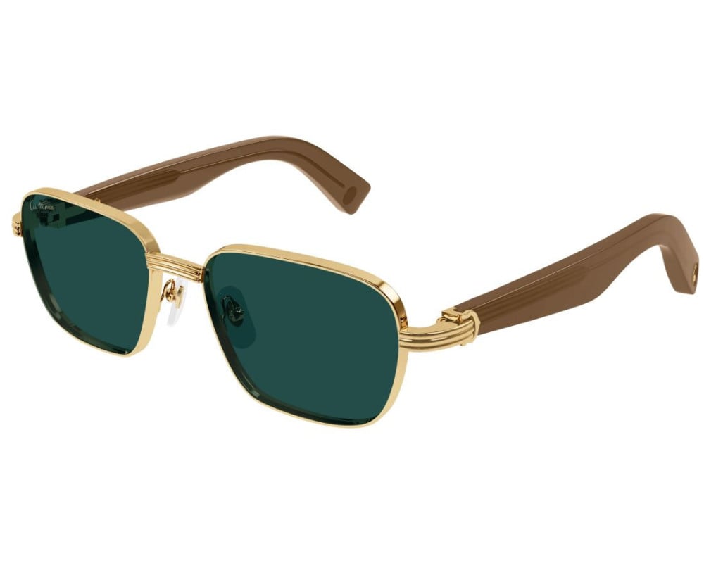 Cartier CT0538S