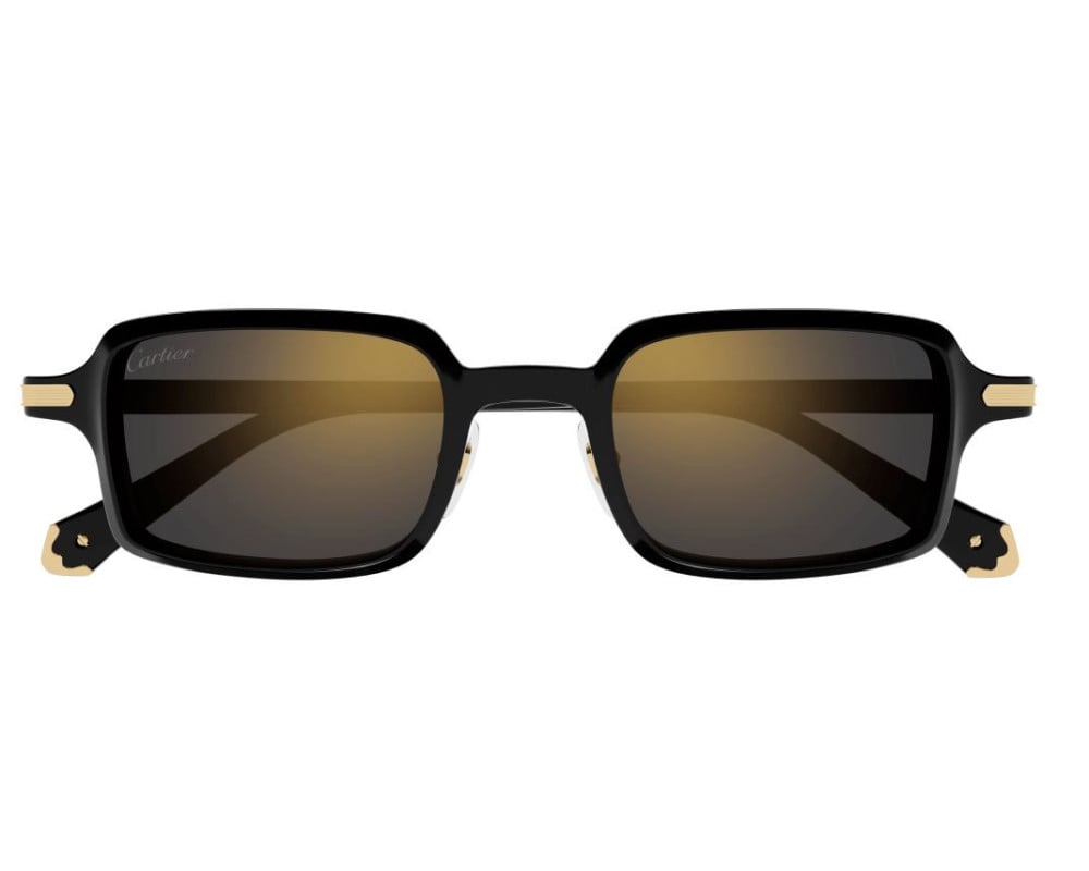 Cartier CT0539S Noir (001)