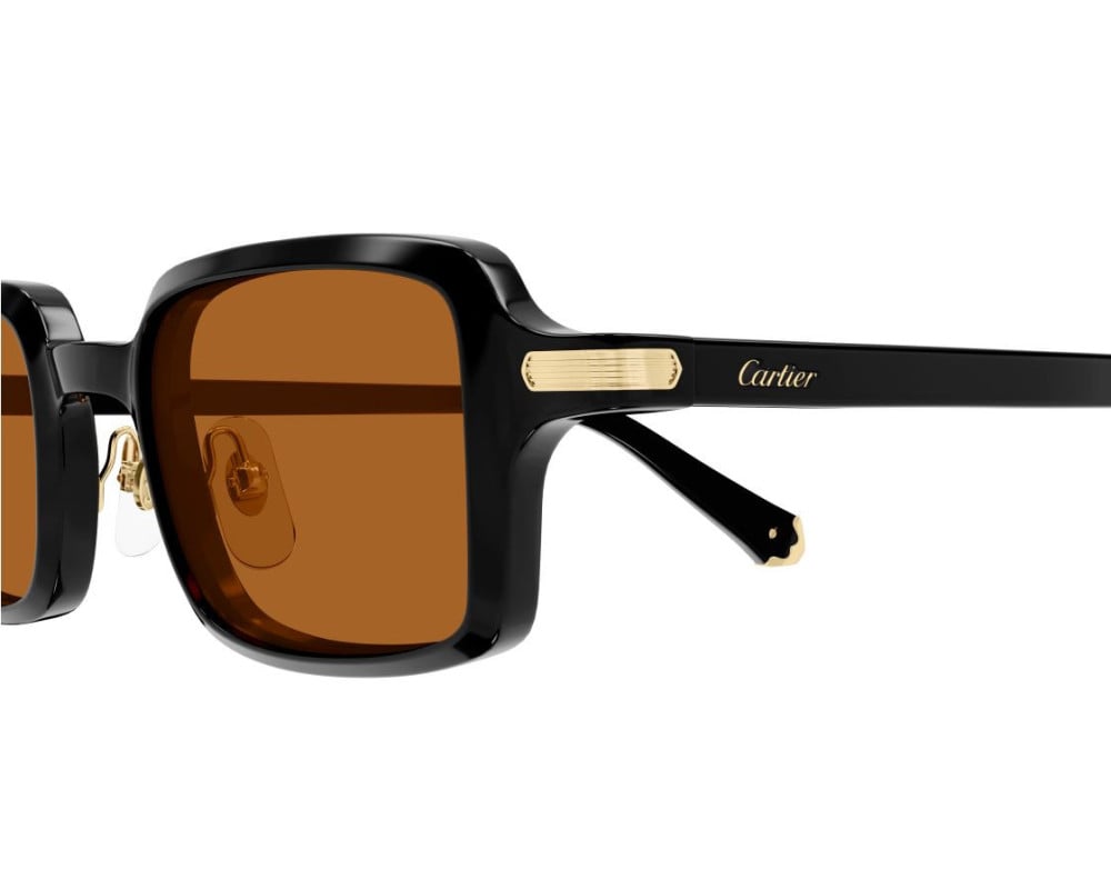 Cartier CT0539S Noir (003)