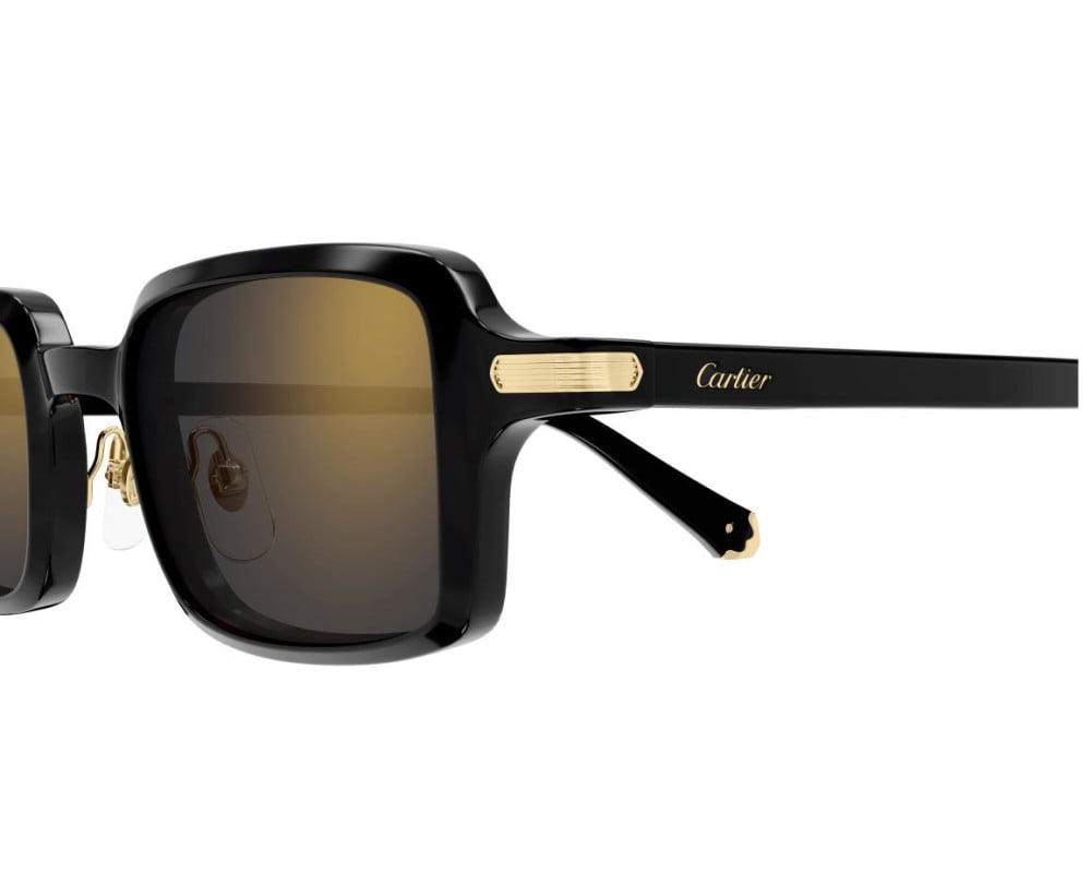 Cartier CT0539S Noir (001)