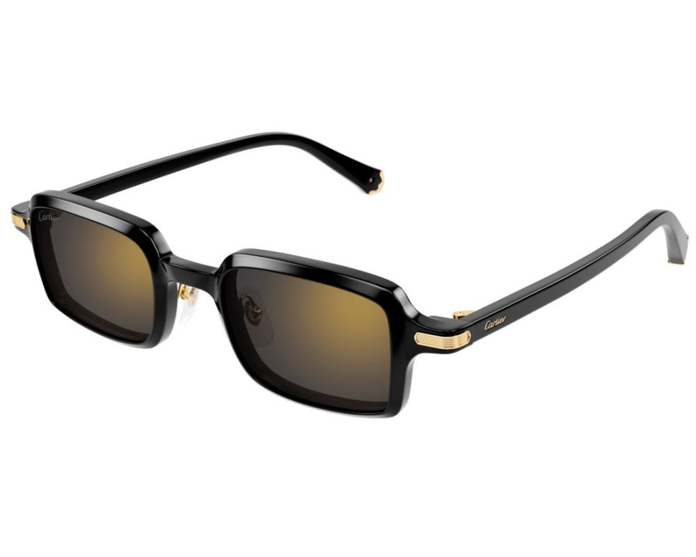 Cartier CT0539S Noir (001)