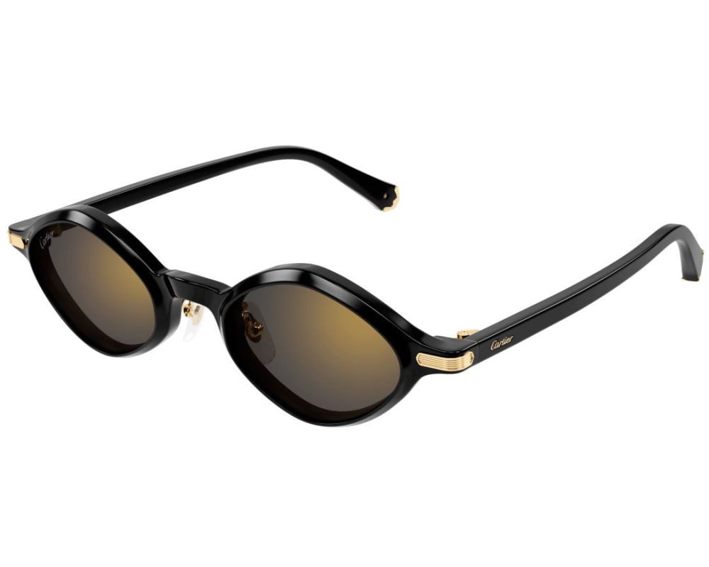 Cartier CT0540S