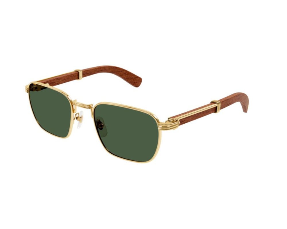 Cartier CT0363S