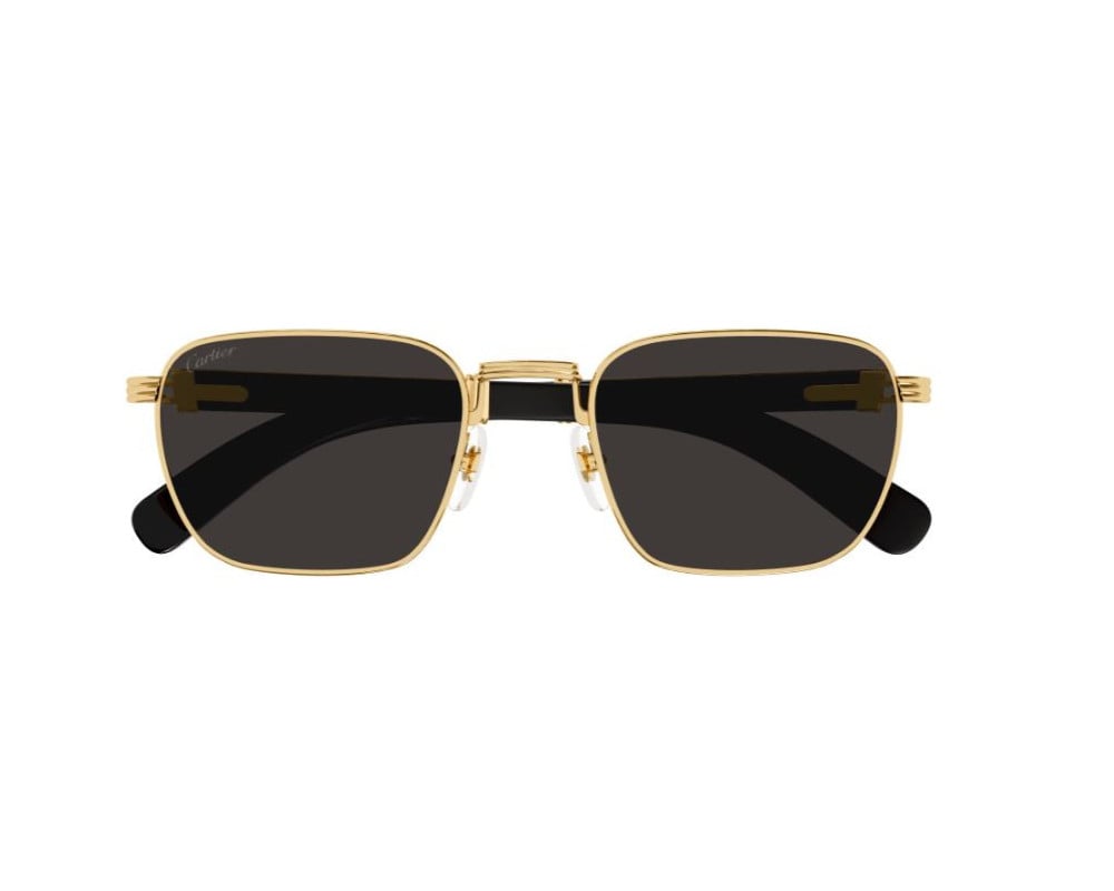 Cartier CT0363S