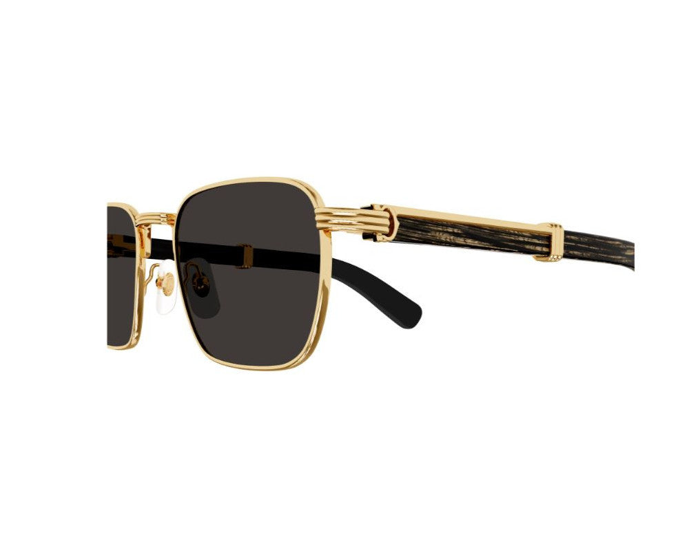 Cartier CT0363S