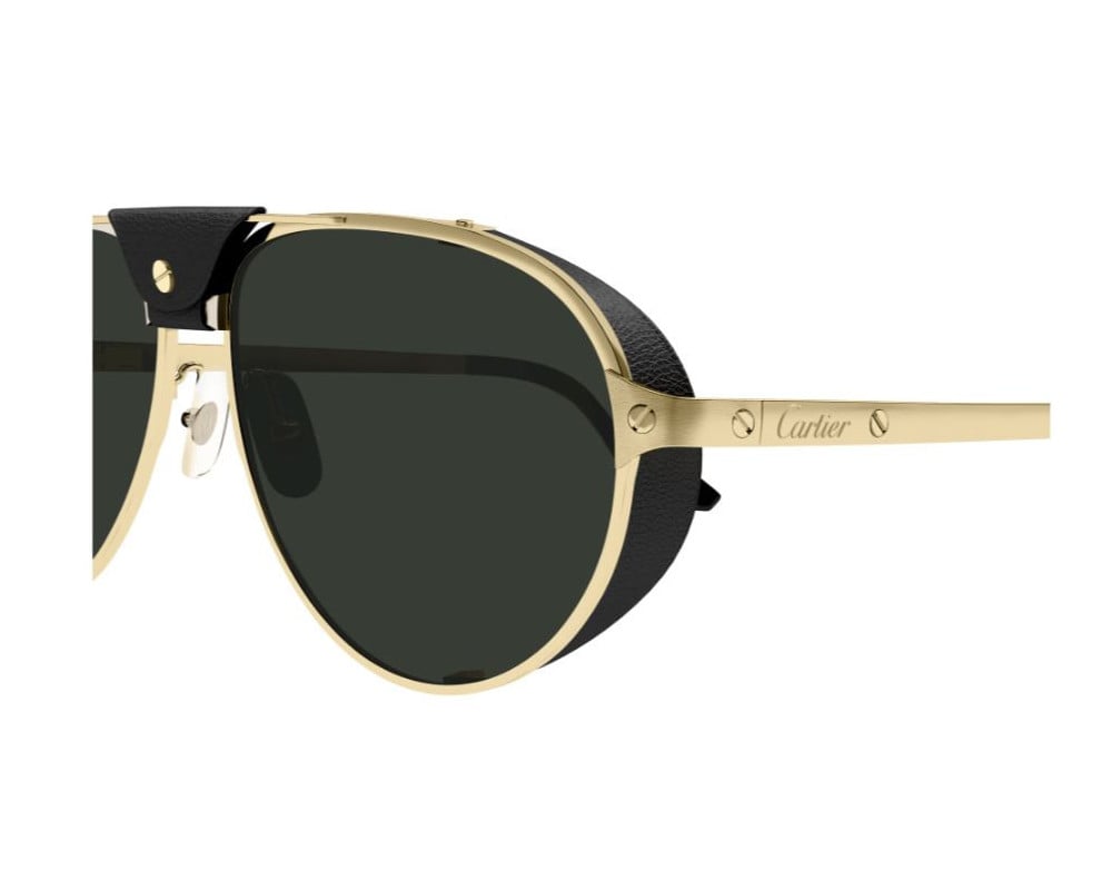 Cartier CT0296S