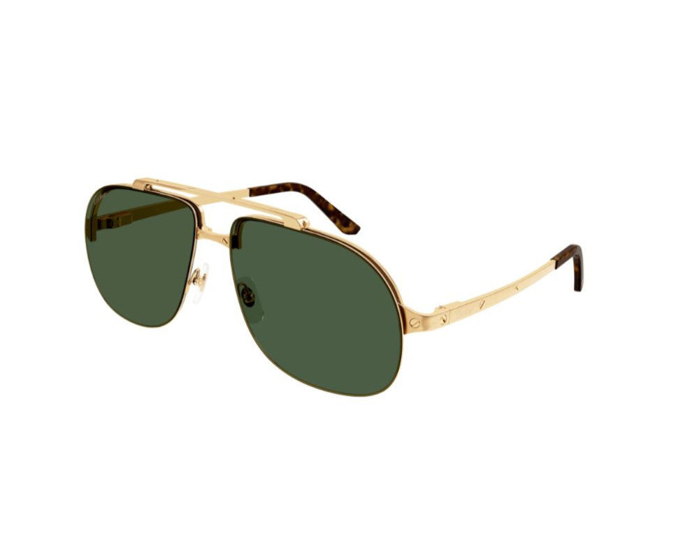 Cartier CT0353S