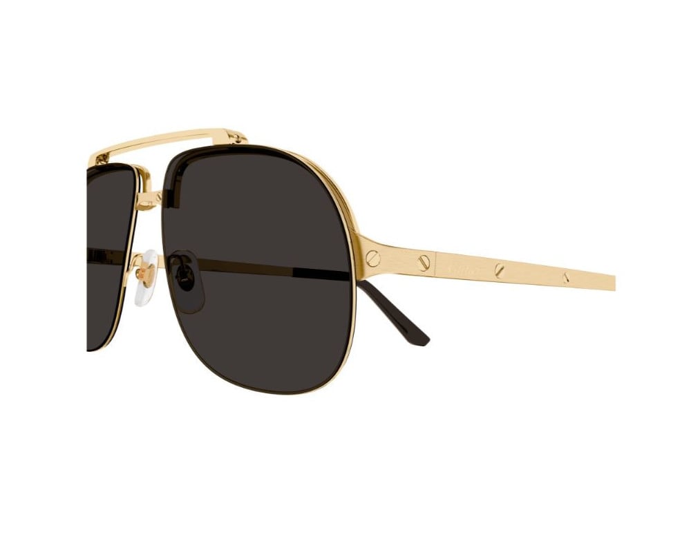 Cartier CT0353S
