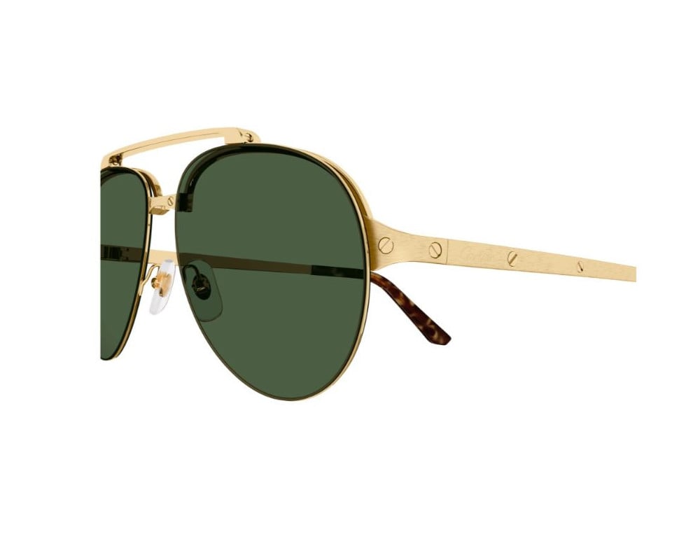 Cartier CT0354S
