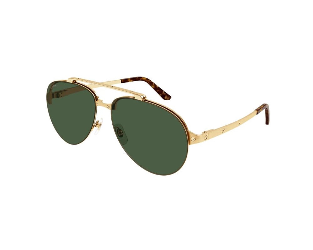 Cartier CT0354S