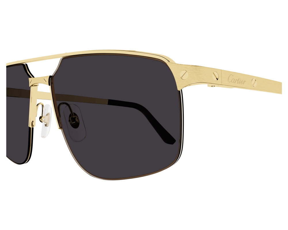 Cartier CT0385S