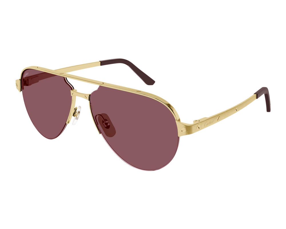 Cartier CT0386S