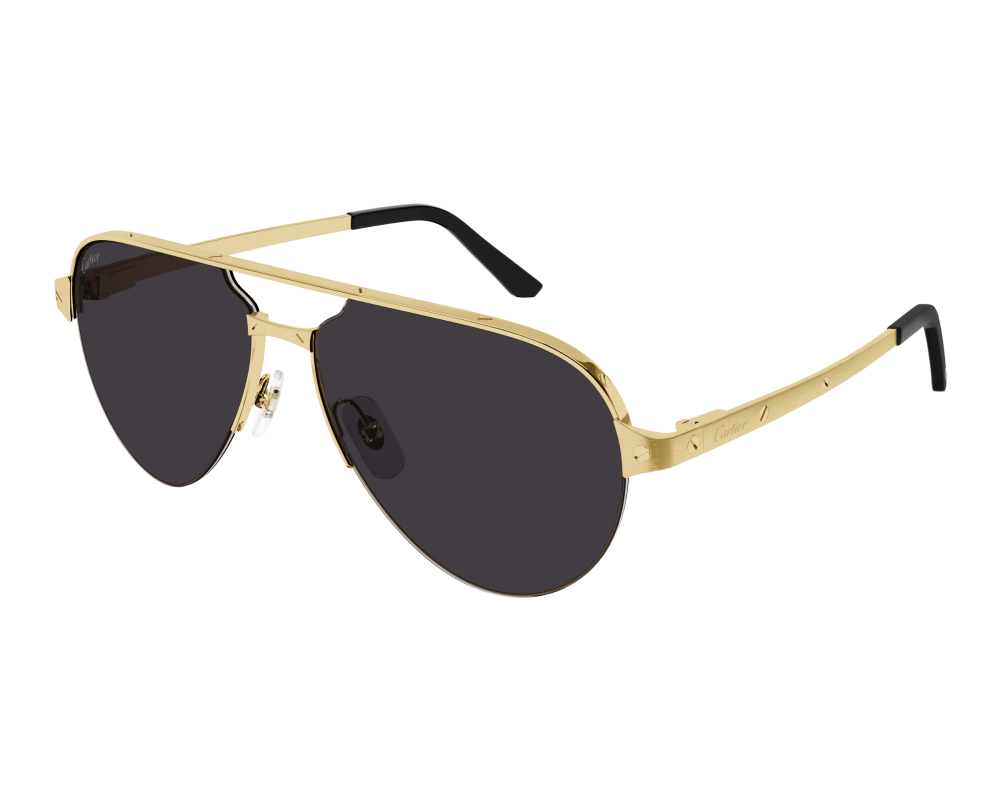 Cartier CT0386S