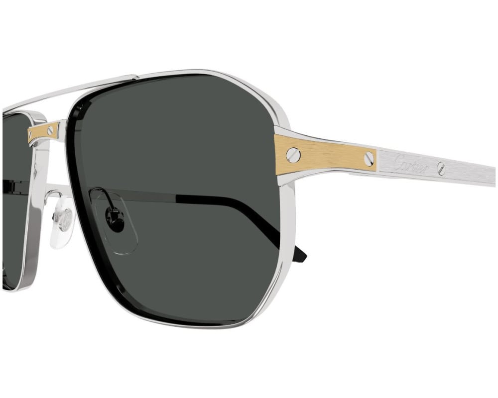 Cartier CT0424S