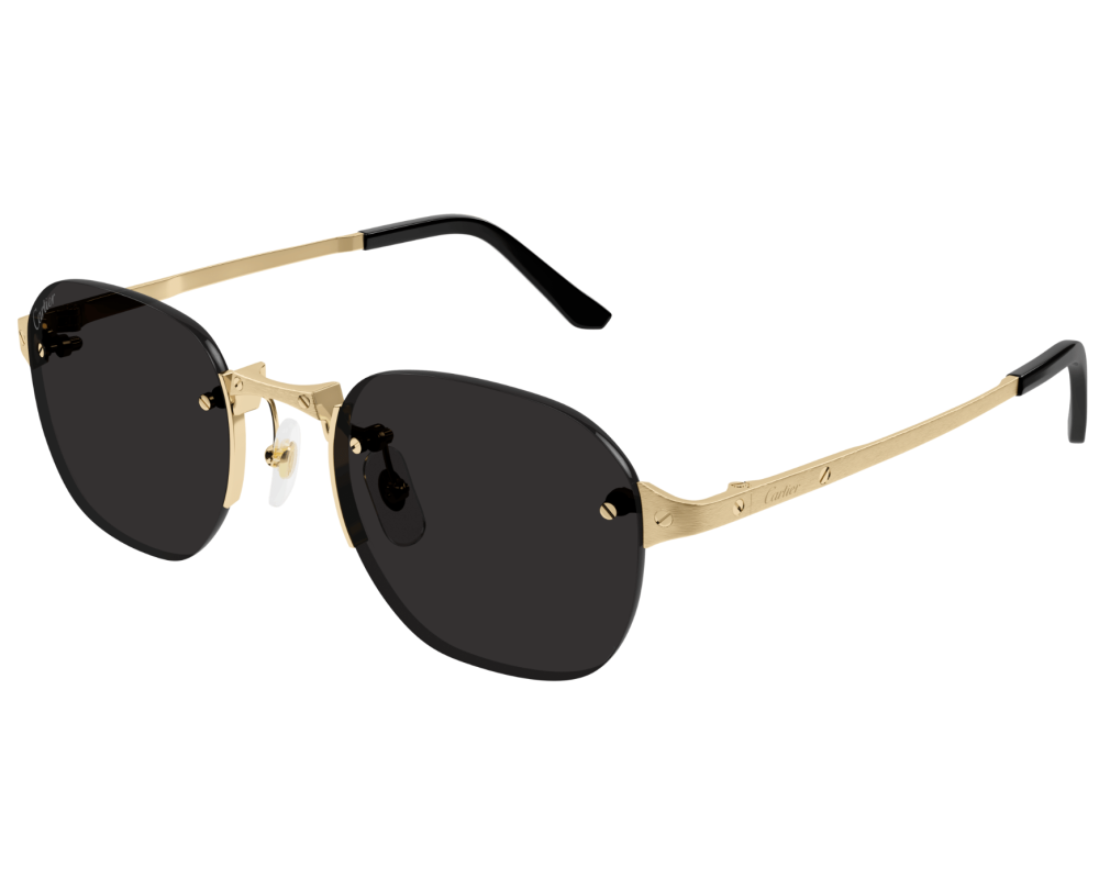 Cartier CT0459S