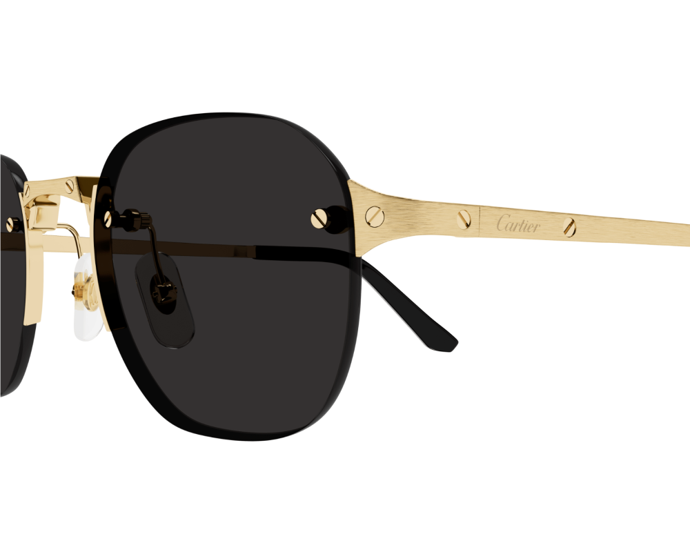 Cartier CT0459S