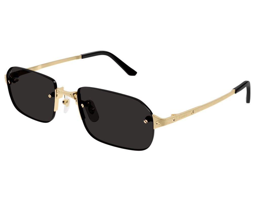 Cartier CT0460S