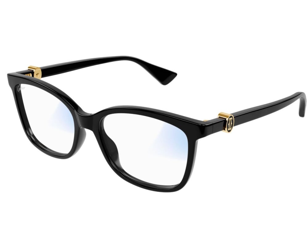 Cartier CT0493S