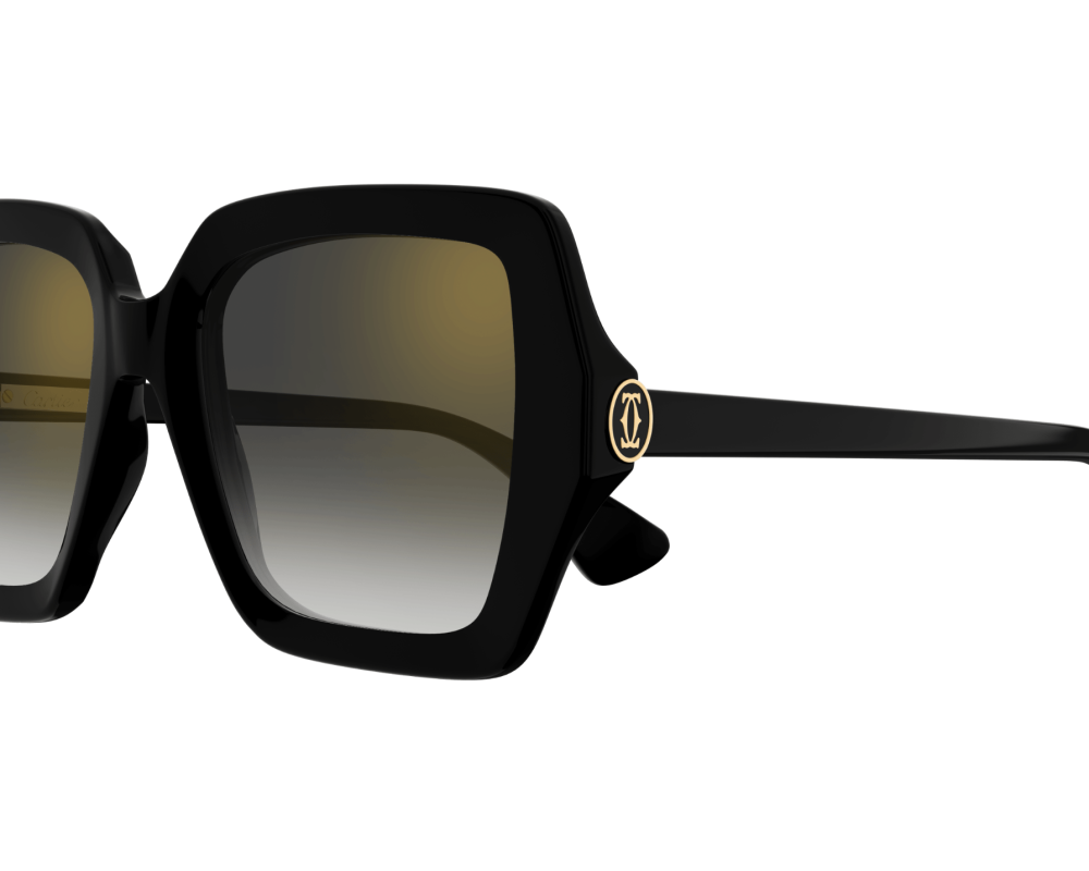 Cartier CT0507S