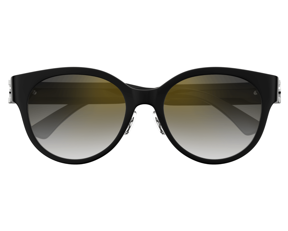 Cartier CT0510SJ
