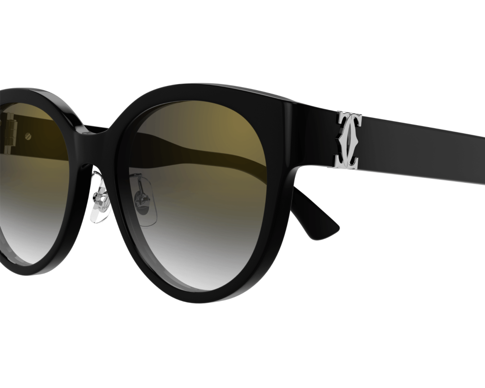 Cartier CT0510SJ