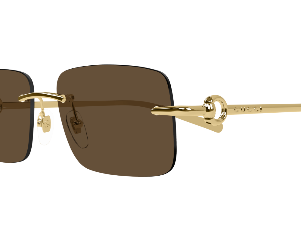 Gucci GG1703S