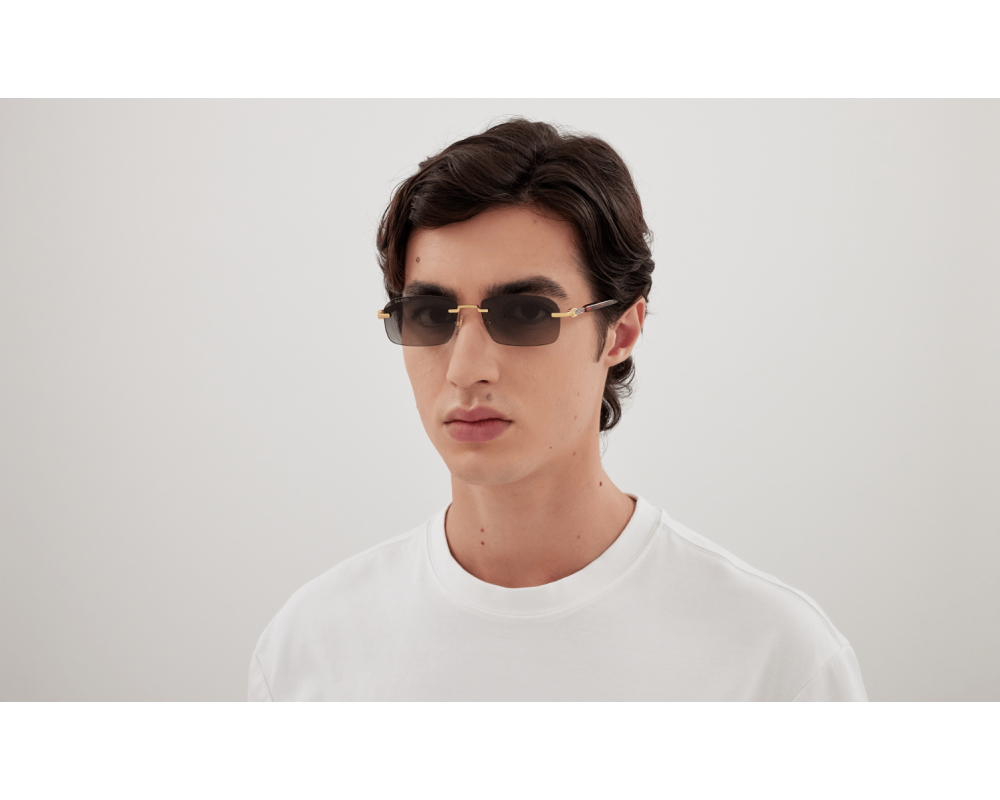 Gucci GG1221S