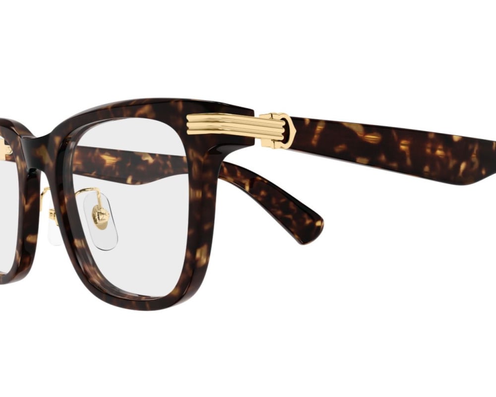 Cartier CT0617OA Ecaille