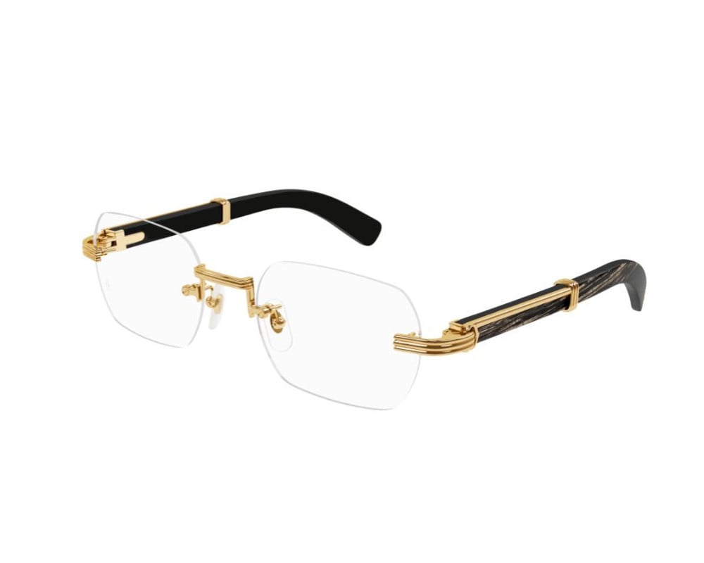 Cartier CT0377O