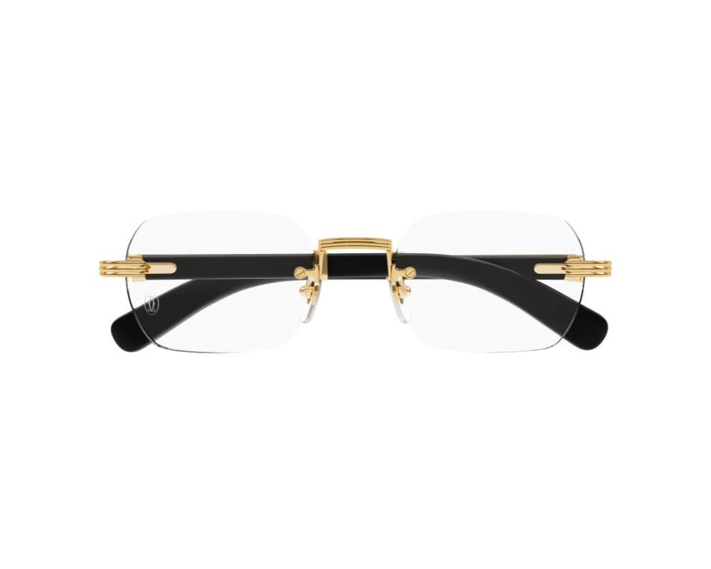 Cartier CT0377O