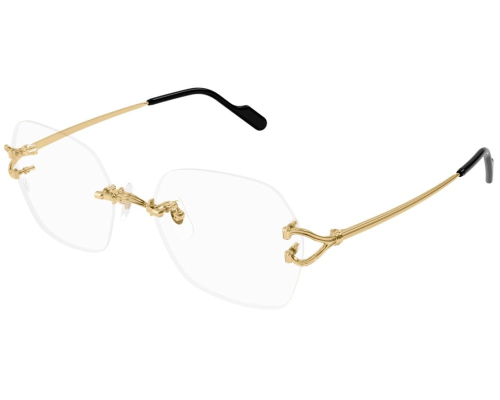 Cartier CT0564O