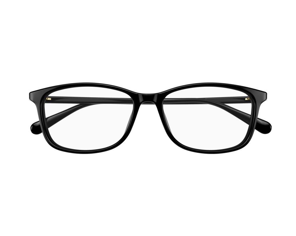 Gucci GG1354OA