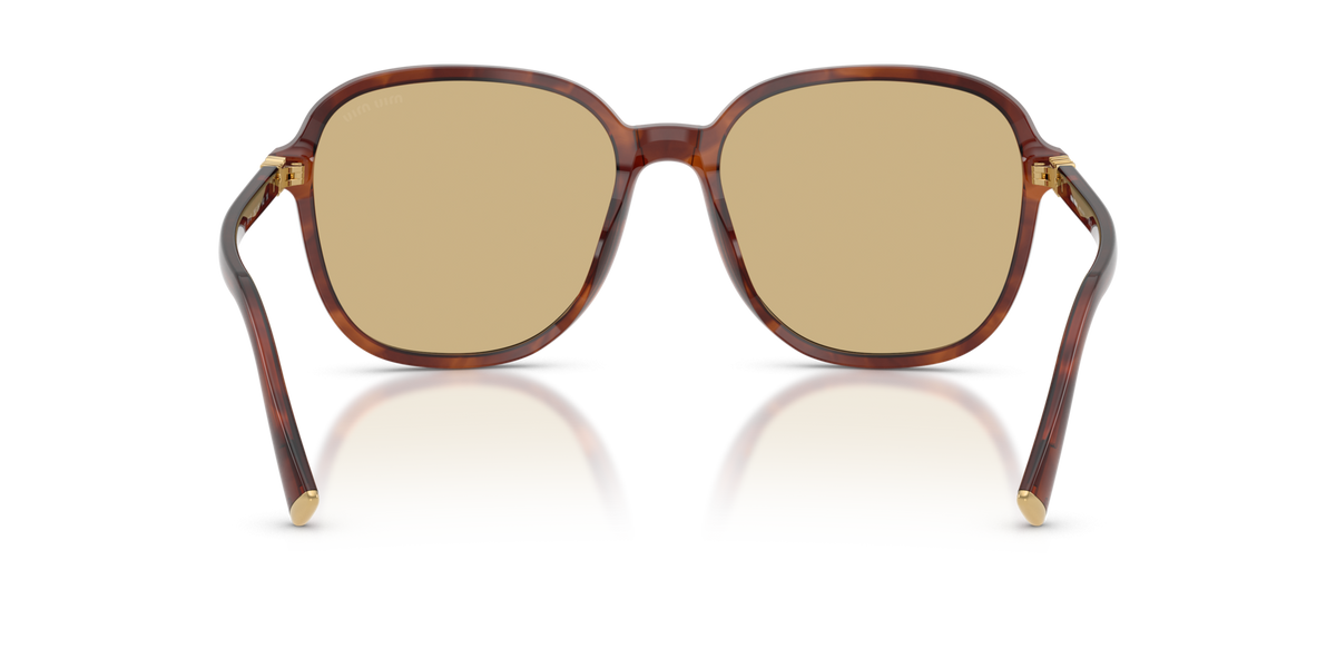 Miu Miu MU B01S – Rayures Tabac 26E10R – vue 2