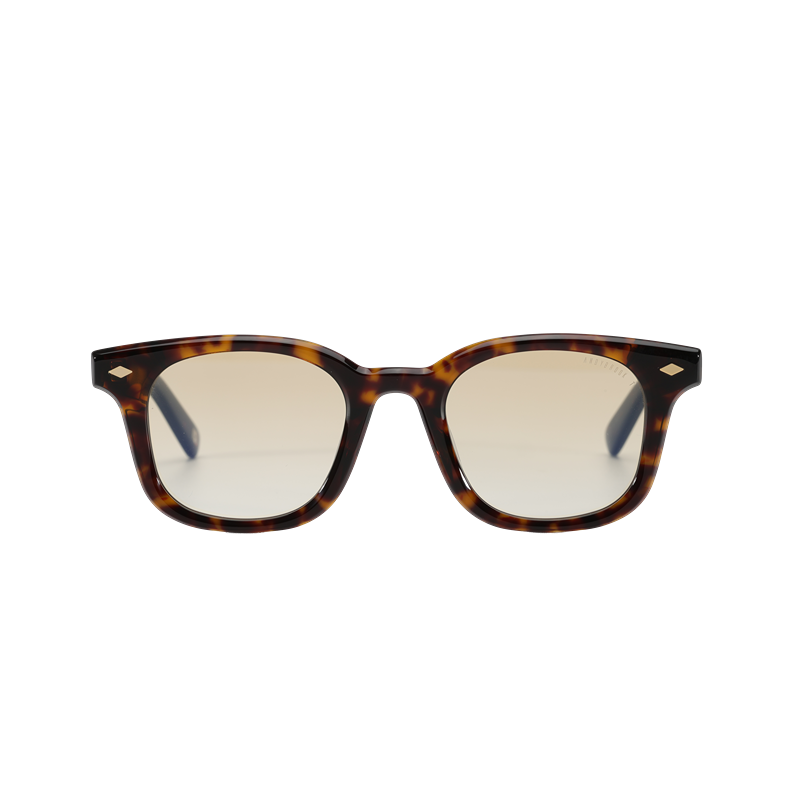 Andy Brook Ryder Photochromic - C47ZY-T Dark tortoiseshell