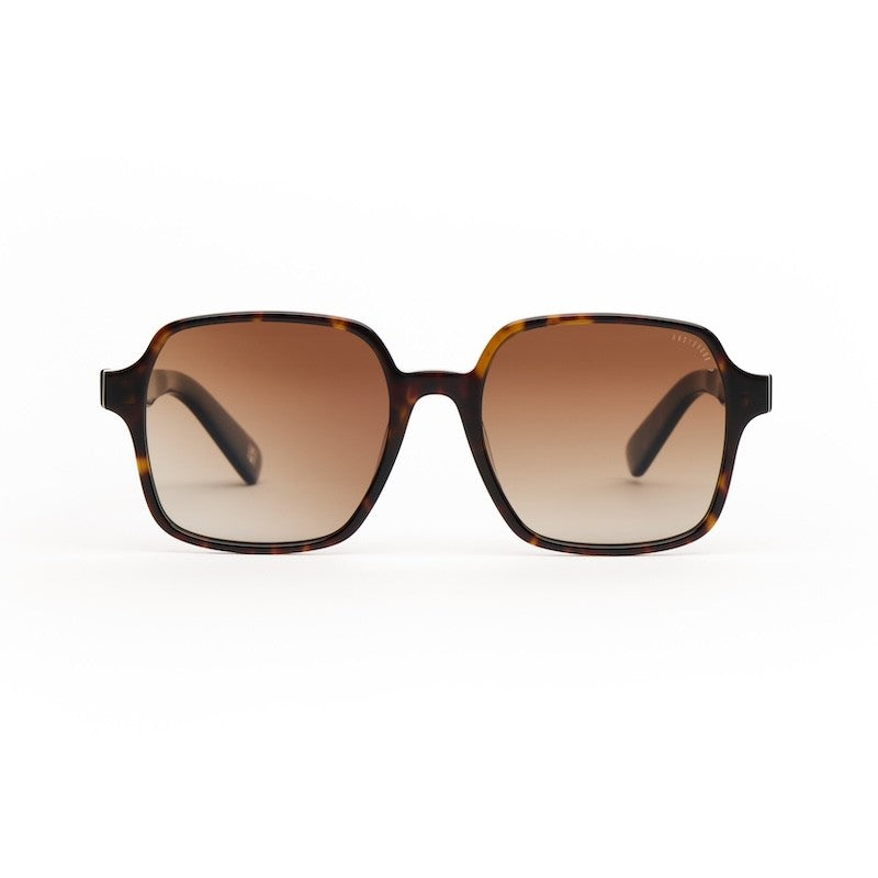 Lunettes de soleil Andy Brook Tali Polarized